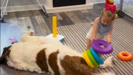 pas i devojčica se igraju sa kolutovima