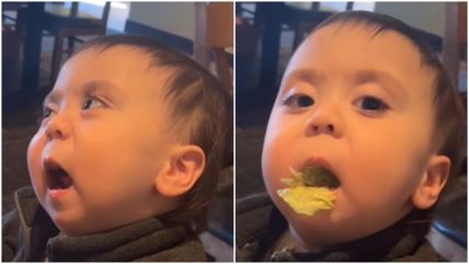 Dečak prvi put probao zelenu salatu, iste sekunde zažalio