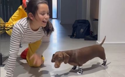 Devojčica vežbala, a njen pas ukrao šou