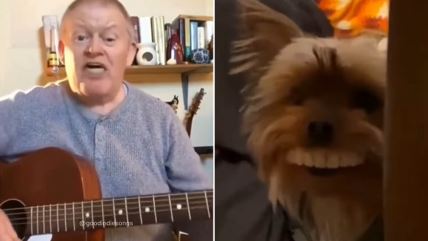 Čoveku ispala proteza našao je pas