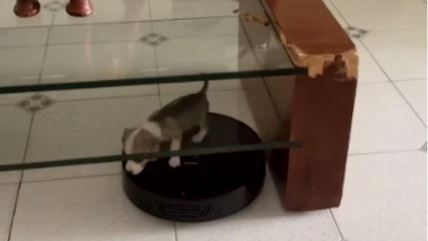 Kuca čisti na robotu