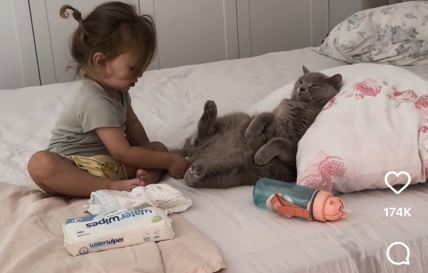 Beba menja maci pelene i slađi video nismo skoro videli