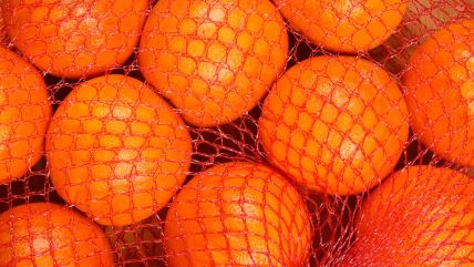 Pomorandže u crvenoj mreži