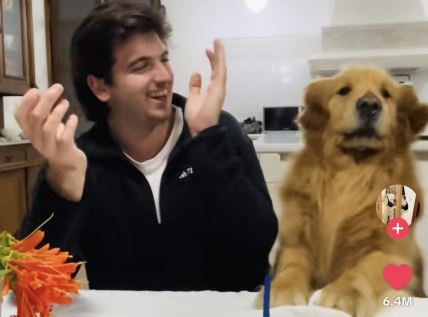 Pas se raduje što mu je rođendan