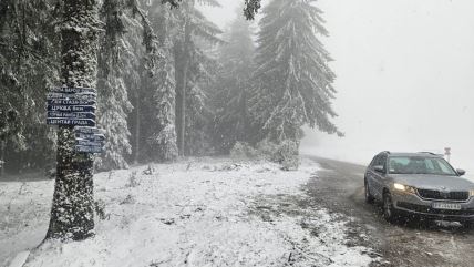 sneg na zlataru (4).jpg