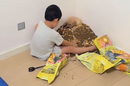 Hit snimak dečaka koji je istresao 3 džaka da nahrani psa