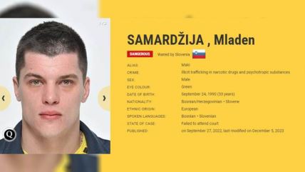 Mladen Samardžija.jpg