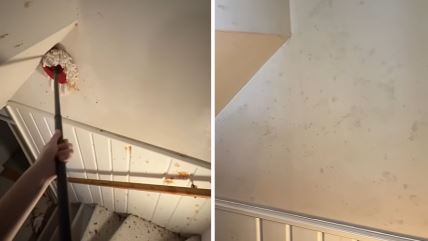 Ruka drži džoger koji uklanja masne fleke na zidu