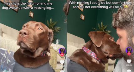 Video psa koji se prvi put probudio bez noge slomio internet