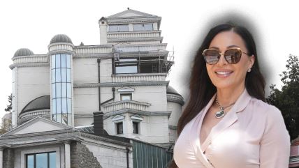 Ceca renovira vilu.jpg