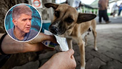 Vladimir Terzin i pas