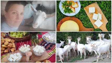 Jelena ima farmu koza i pravi sir i mleko.jpg