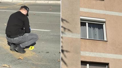 Pucnjava na voždovcu.jpg