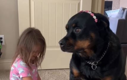 Pas i devojčica uživaju u igri koja je osvojila internet