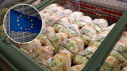 Piletina Evropska Unija.jpg