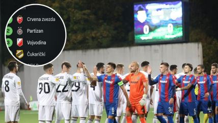 Čukarički Partizan.jpg