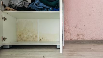 Buđ i vlaga na zidu i ormaru