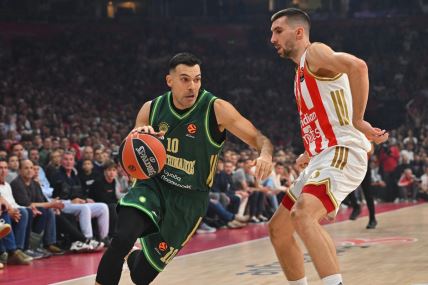 Crvena zvezda - Panatinaikos 33.JPG