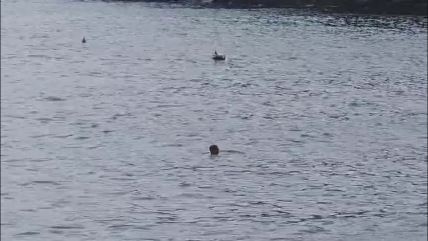 Novembar u Budvi 2.jpg