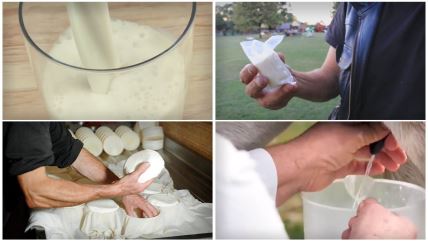 magareće mleko i sir.jpg