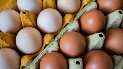 Smeđa i bela jaja u kartonu