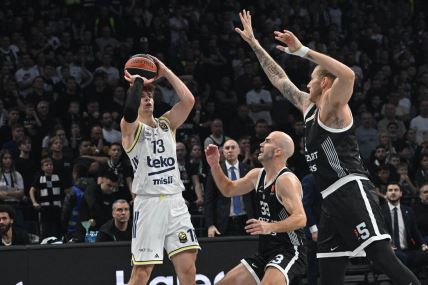 Partizan - Fenerbahče (2).jpg