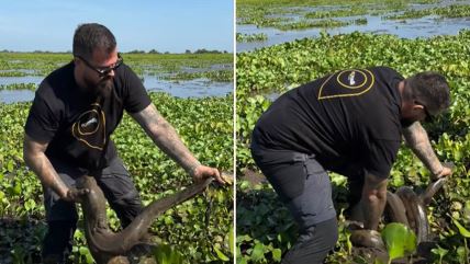 Kristijan Iličić sa zmijom u močvari u Venecueli.jpg