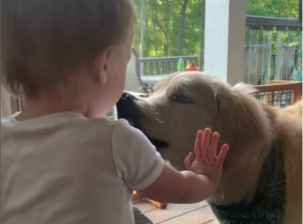 Originalna igra bebe i psa raznežila internet