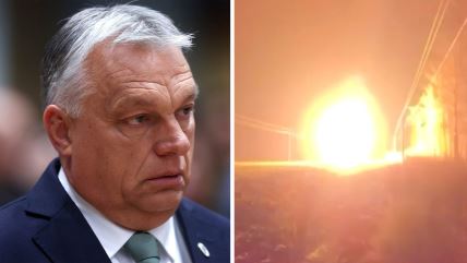 Viktor Orban, Družba