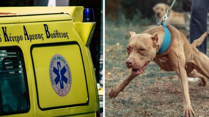 Pitbul, Grčka hitna pomoć, Hitna pomoć u Grčkoj