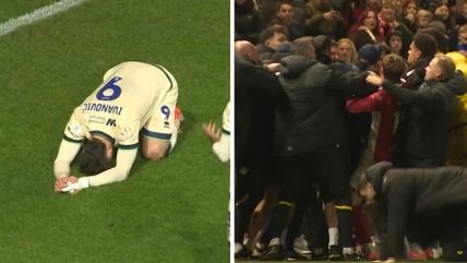 KomboBox - 2 Slike 16x9 copy.jpg