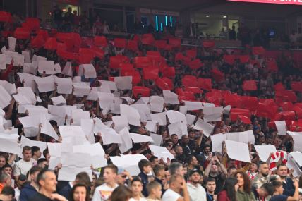 Delije na utakmici Crvene zvezde.