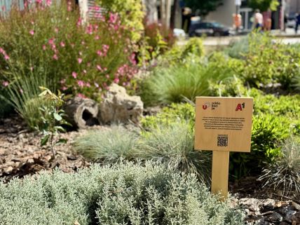 Niklo kao ja - Kragujevac 2 copy.jpg