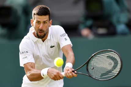 Novak Đoković udara lopticu