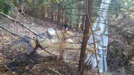 G8siKpRaMAAllTZ copy.jpg