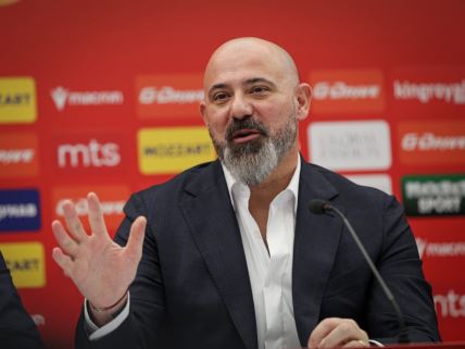 Dejan Stanković (7).jpeg