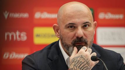 Dejan Stanković.jpg