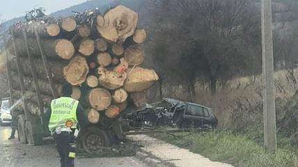 udes kod Baljevca.jpg