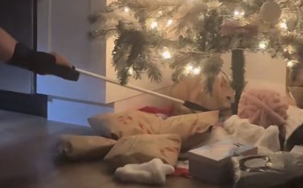 Mačka donela poklon miša ispod jelke