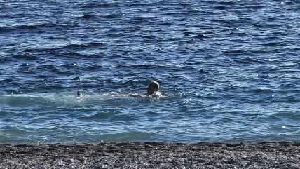 Kupanje u Crnoj Gori