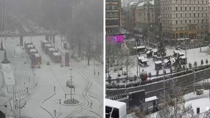 Prvi sneg u Beogradu 2026. godine.jpg