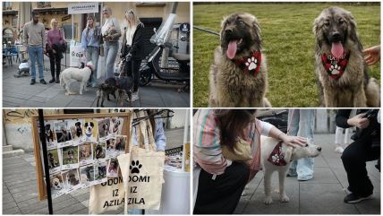 KomboBox - 4 Slike 16x9 copy.jpg