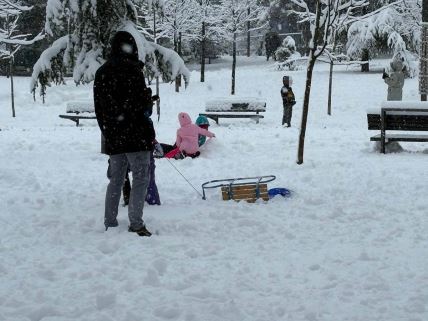 Sneg na Tašmajdanu (4).jpg