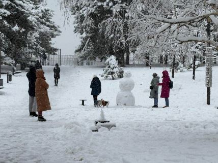 Sneg na Tašmajdanu (5).jpg