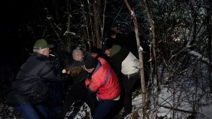 Seča badnjaka (7).jpg