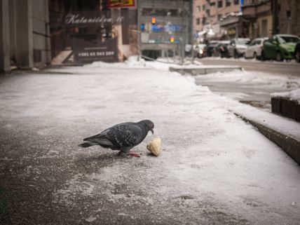 Zaledjeni Beograd (6).jpg