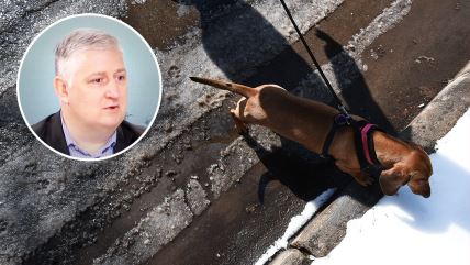 Veterinar Branimir Lazić i pas koji hoda po snegu