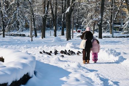 Sneg u Beogradu (18).jpg