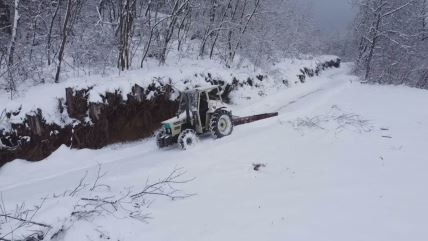 Sneg na Zlatiboru 9.jpg