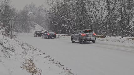 Sneg na Zlatiboru 2.jpg